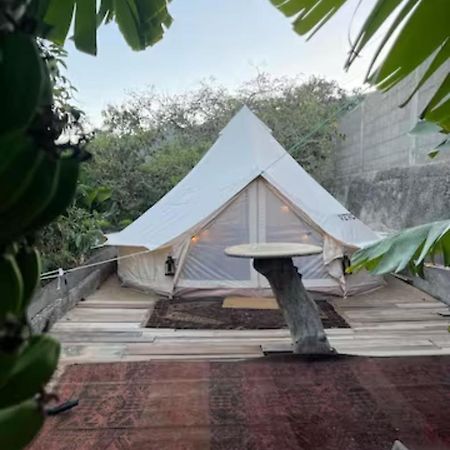 Hotel Yurt In Avocado Garden Güimar Zewnętrze zdjęcie