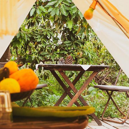Hotel Yurt In Avocado Garden Güimar Zewnętrze zdjęcie