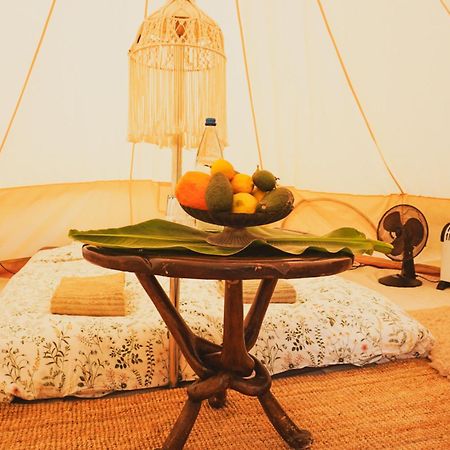 Hotel Yurt In Avocado Garden Güimar Zewnętrze zdjęcie
