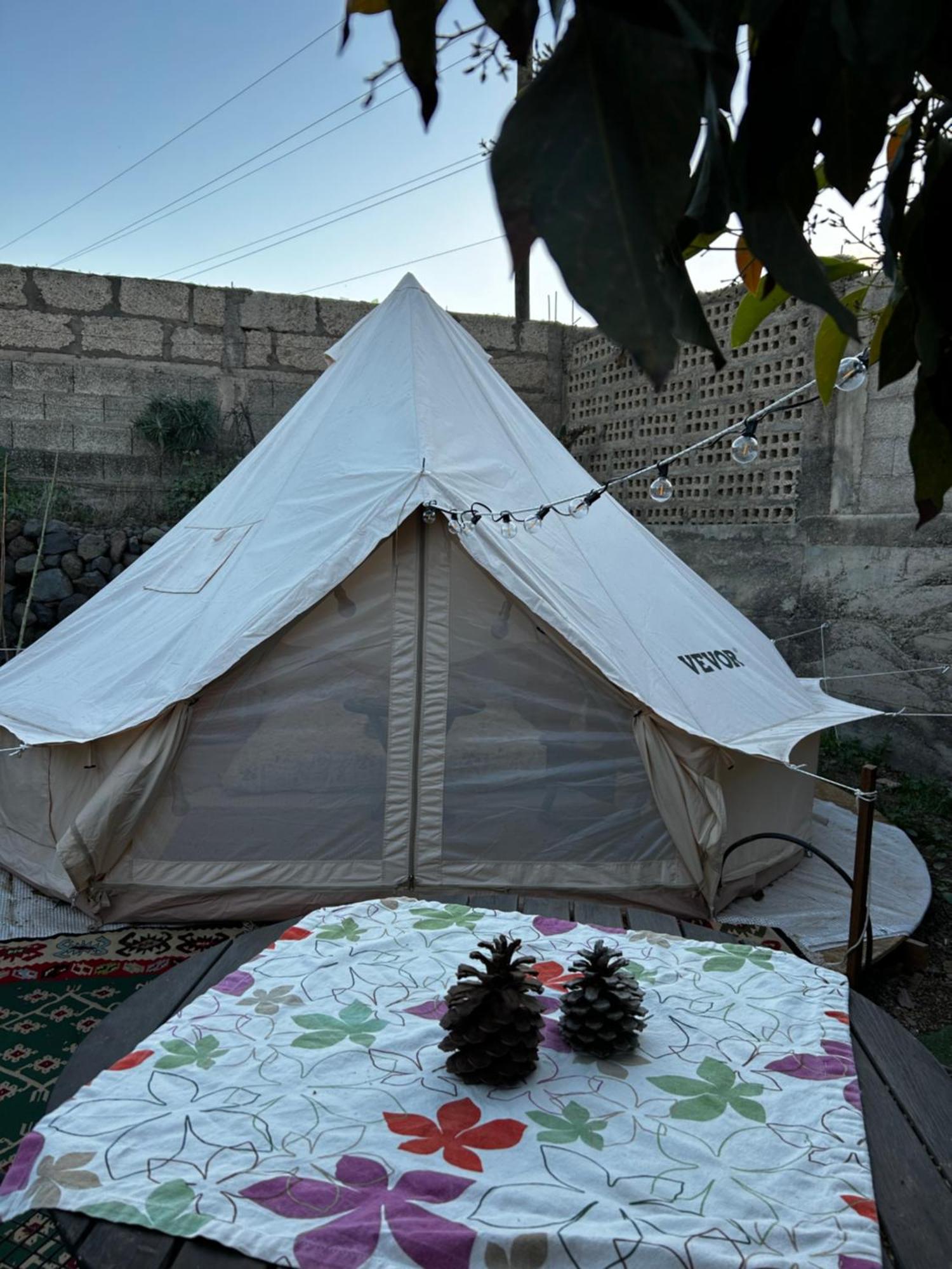 Hotel Yurt In Avocado Garden Güimar Zewnętrze zdjęcie