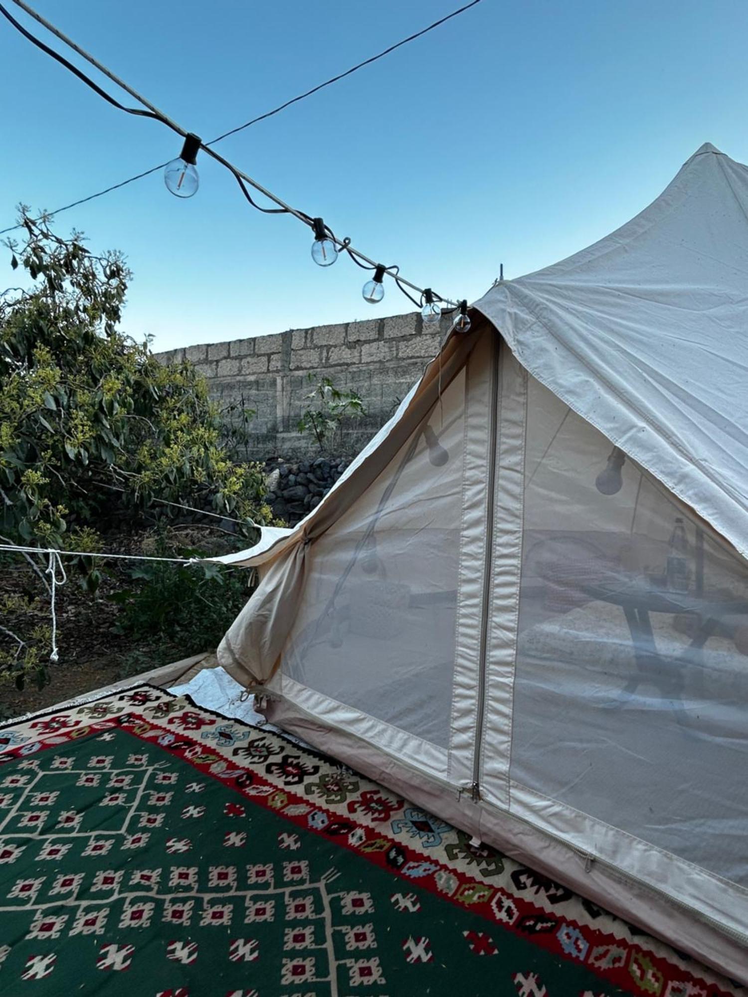 Hotel Yurt In Avocado Garden Güimar Zewnętrze zdjęcie