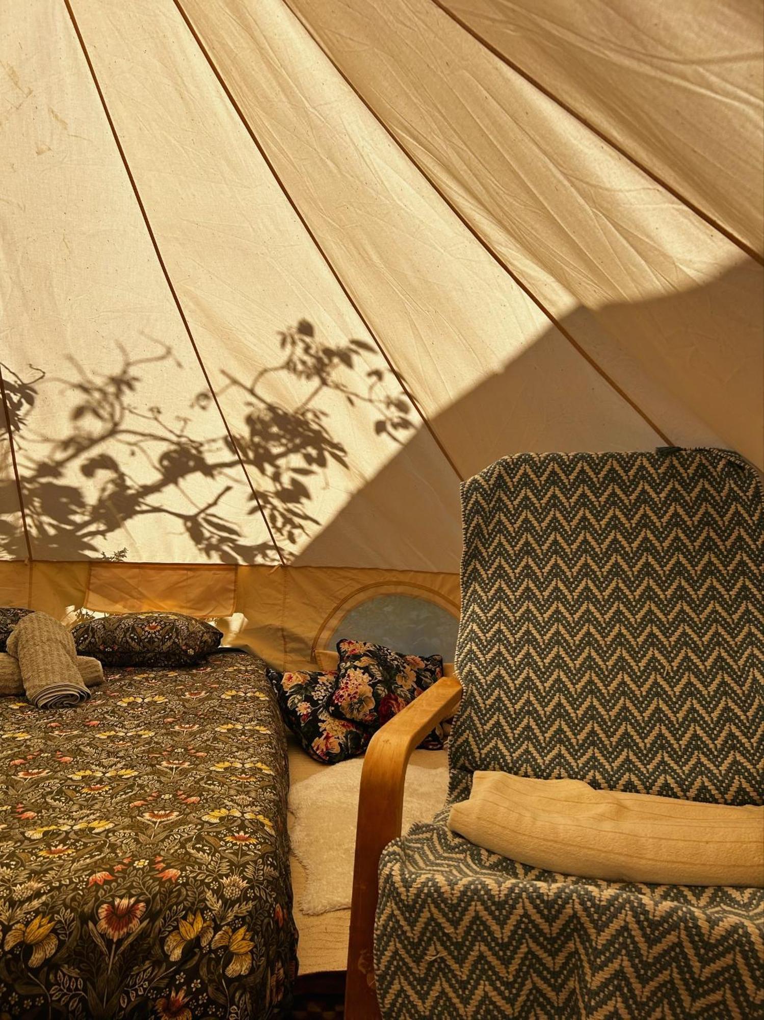 Hotel Yurt In Avocado Garden Güimar Zewnętrze zdjęcie