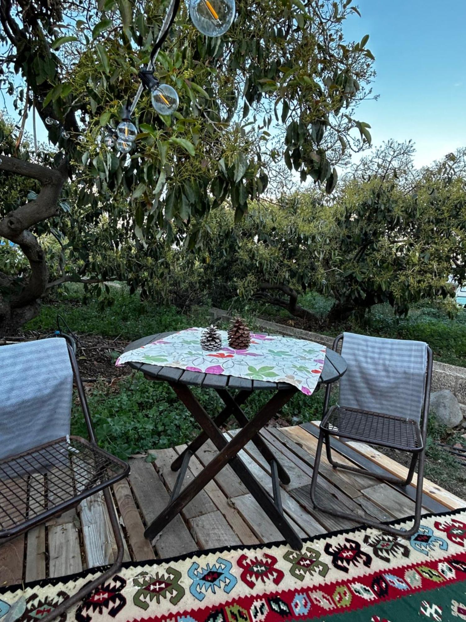 Hotel Yurt In Avocado Garden Güimar Zewnętrze zdjęcie