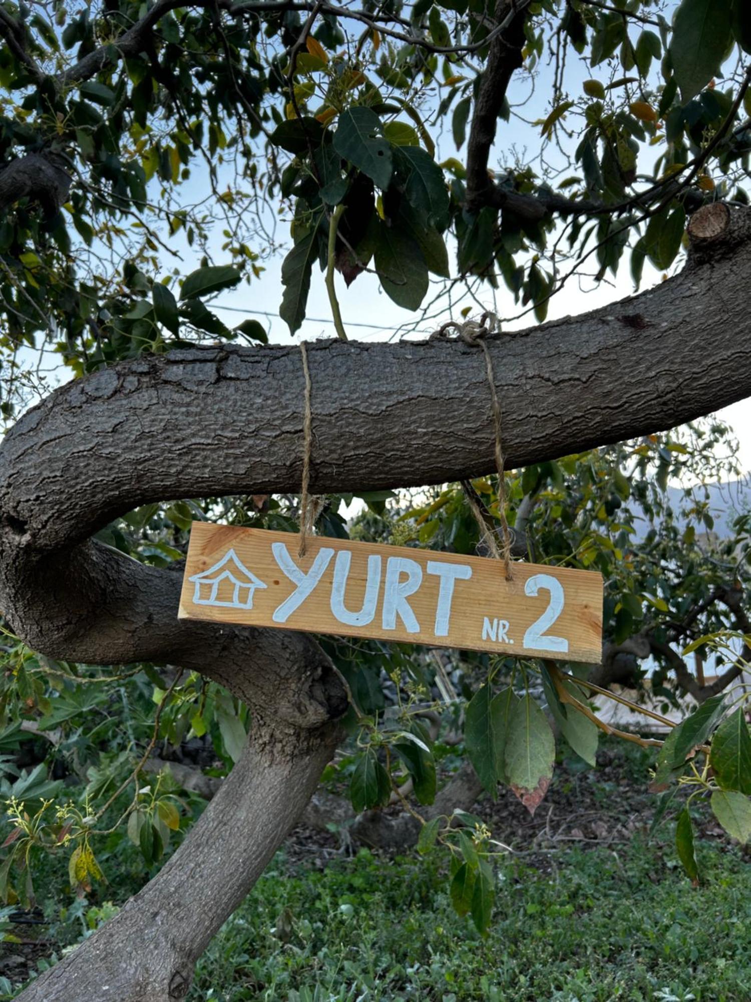 Hotel Yurt In Avocado Garden Güimar Zewnętrze zdjęcie