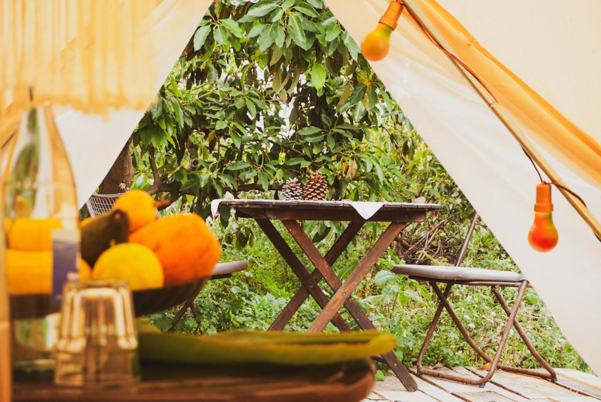 Hotel Yurt In Avocado Garden Güimar Zewnętrze zdjęcie