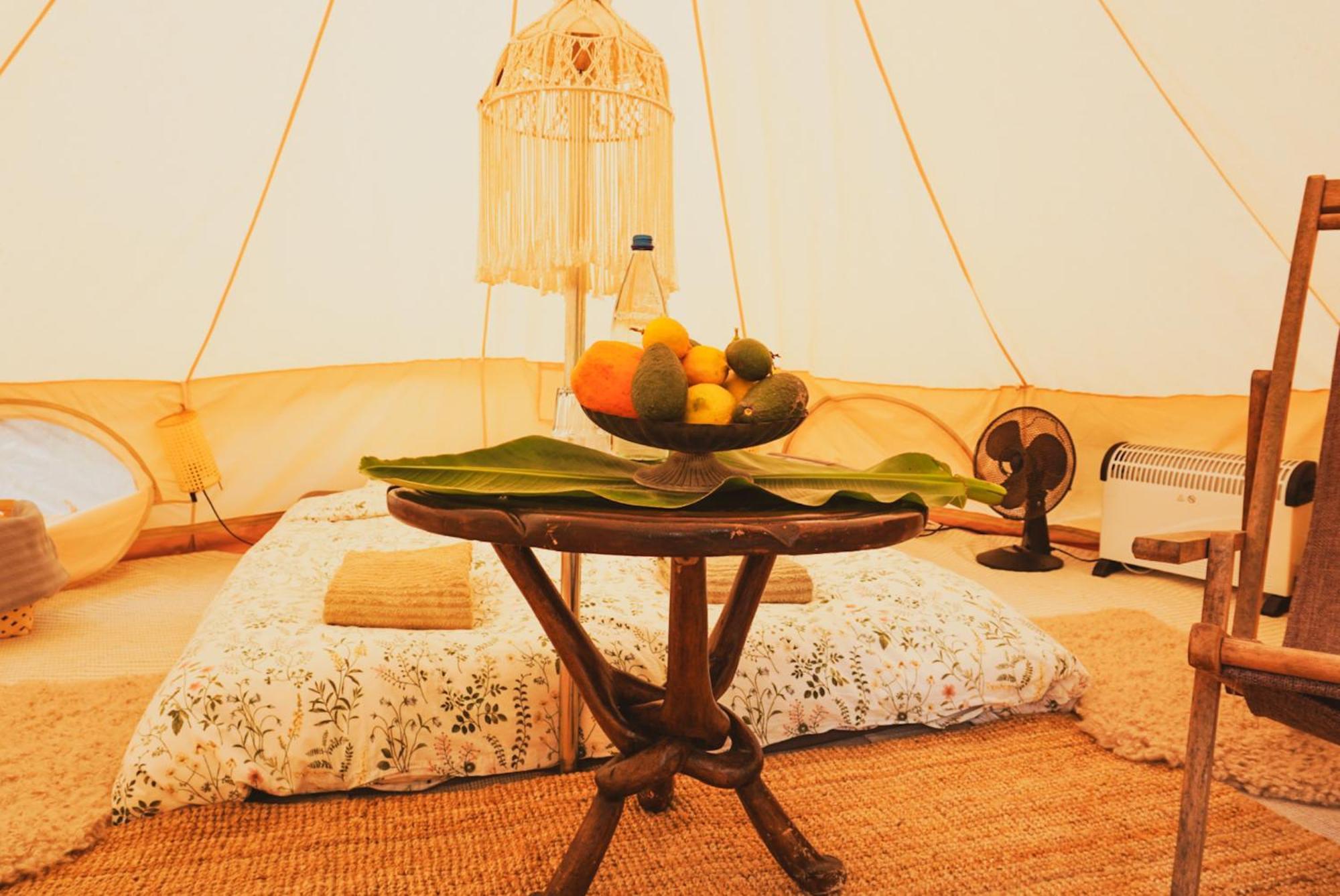 Hotel Yurt In Avocado Garden Güimar Zewnętrze zdjęcie