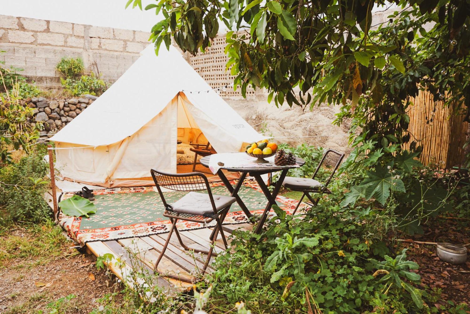 Hotel Yurt In Avocado Garden Güimar Zewnętrze zdjęcie